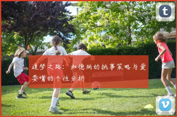 追梦之路：加德纳的挑事策略与爱耍嘴的个性分析